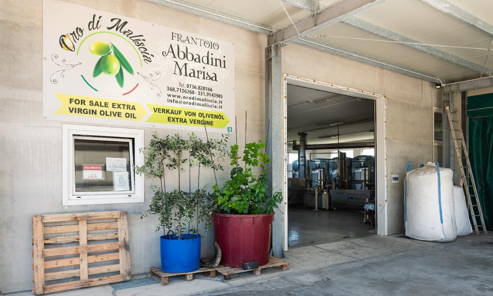 Frantoio Oro di Maliscia