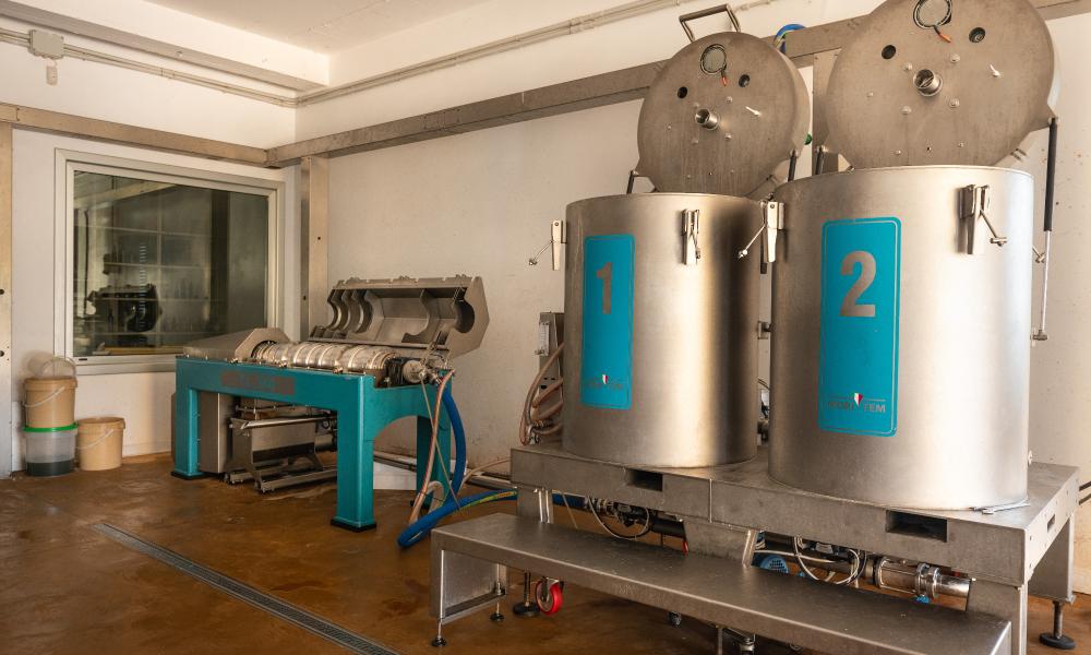 Frantoio Olive Gregori