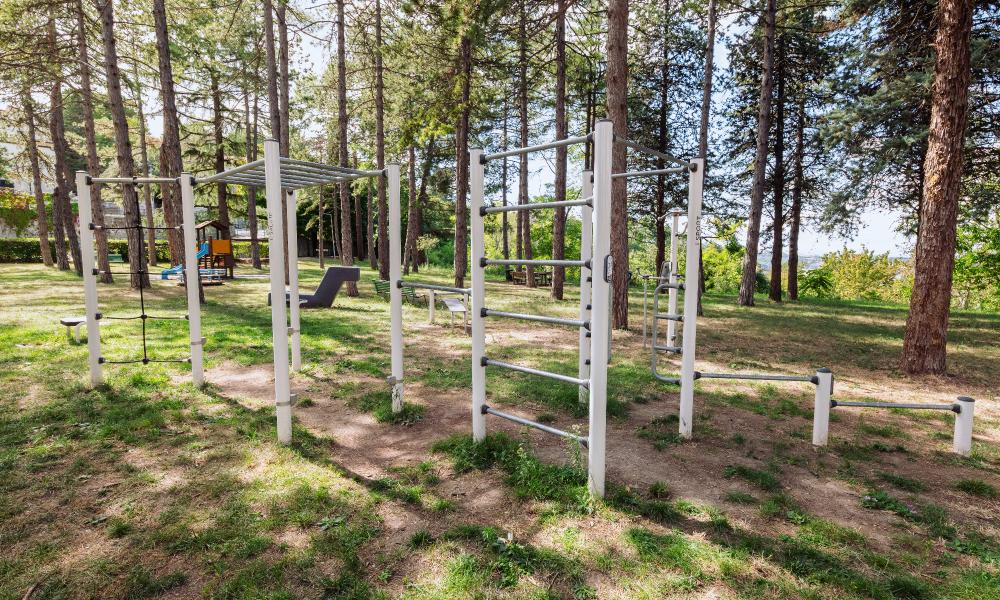 La pineta comunale A. Mori