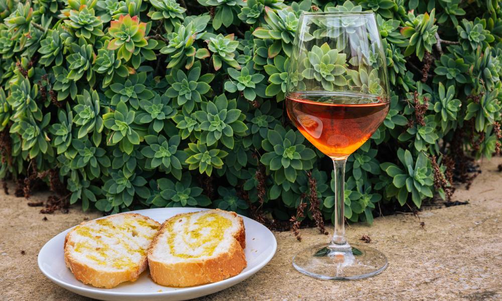 Degustazione in cantina