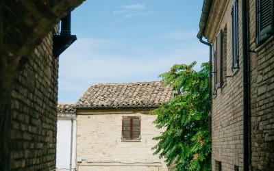 Foto Francesca/Montalto_Metroborgo delle Marche 2025 HI-15.jpg