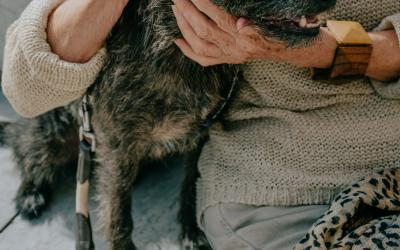 Foto Francesca/Montalto_Metroborgo delle Marche 2025 HI-16.jpg