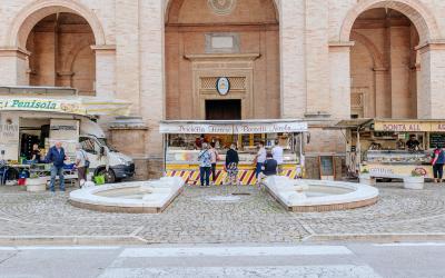 Foto Francesca/Montalto_Metroborgo delle Marche 2025 HI-165.jpg