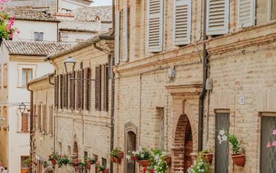 Foto Francesca/Montalto_Metroborgo delle Marche 2025 HI-19.jpg