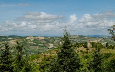 Foto Francesca/Montalto_Metroborgo delle Marche 2025 HI-198.jpg