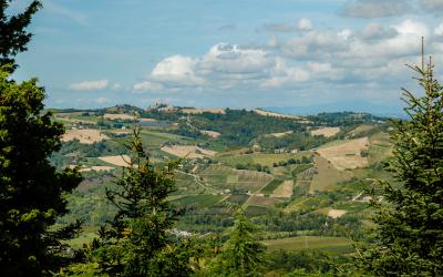 Foto Francesca/Montalto_Metroborgo delle Marche 2025 HI-199.jpg