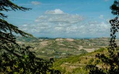 Foto Francesca/Montalto_Metroborgo delle Marche 2025 HI-204.jpg