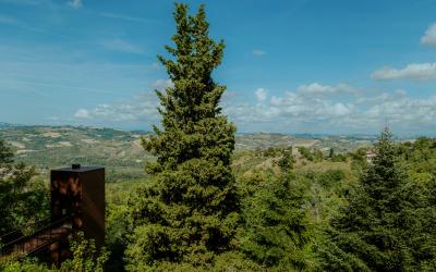 Foto Francesca/Montalto_Metroborgo delle Marche 2025 HI-203.jpg