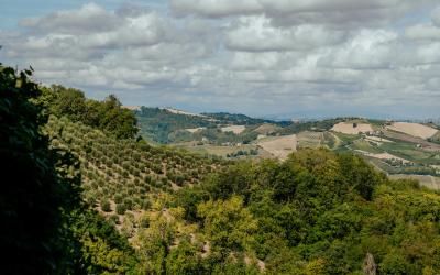 Foto Francesca/Montalto_Metroborgo delle Marche 2025 HI-206.jpg