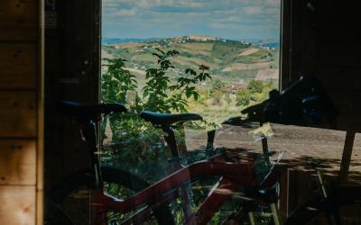 Foto Francesca/Montalto_Metroborgo delle Marche 2025 HI-209.jpg