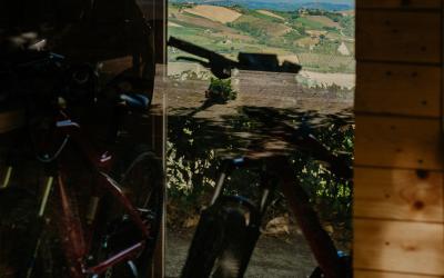 Foto Francesca/Montalto_Metroborgo delle Marche 2025 HI-210.jpg