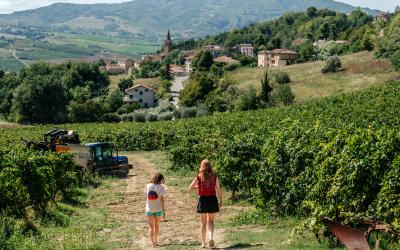 Foto Francesca/Montalto_Metroborgo delle Marche 2025 HI-212.jpg