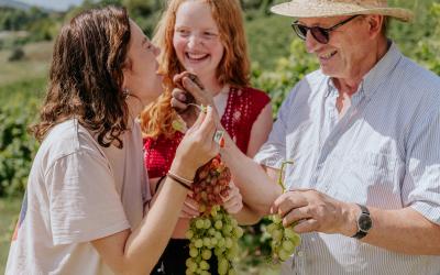 Foto Francesca/Montalto_Metroborgo delle Marche 2025 HI-229.jpg