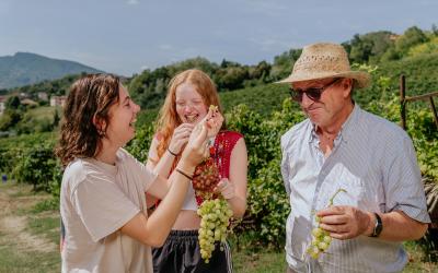 Foto Francesca/Montalto_Metroborgo delle Marche 2025 HI-232.jpg