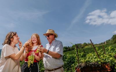 Foto Francesca/Montalto_Metroborgo delle Marche 2025 HI-234.jpg