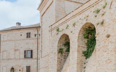 Foto Francesca/Montalto_Metroborgo delle Marche 2025 HI-24.jpg