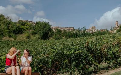 Foto Francesca/Montalto_Metroborgo delle Marche 2025 HI-244.jpg