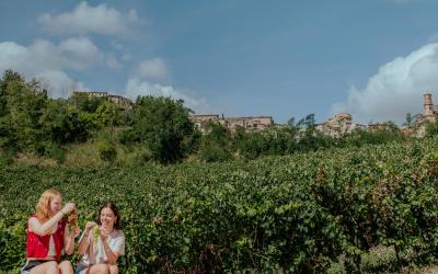 Foto Francesca/Montalto_Metroborgo delle Marche 2025 HI-243.jpg