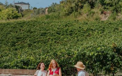 Foto Francesca/Montalto_Metroborgo delle Marche 2025 HI-249.jpg