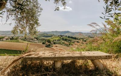 Foto Francesca/Montalto_Metroborgo delle Marche 2025 HI-250.jpg