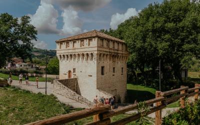 Foto Francesca/Montalto_Metroborgo delle Marche 2025 HI-257.jpg