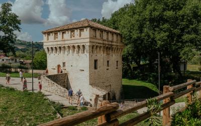 Foto Francesca/Montalto_Metroborgo delle Marche 2025 HI-258.jpg