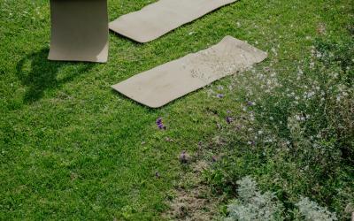 Foto Francesca/Montalto_Metroborgo delle Marche 2025 HI-29.jpg