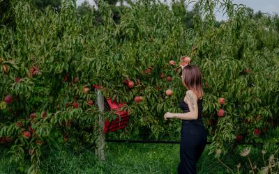 Foto Francesca/Montalto_Metroborgo delle Marche 2025 HI-296.jpg