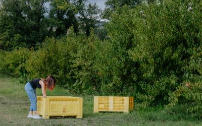 Foto Francesca/Montalto_Metroborgo delle Marche 2025 HI-295.jpg