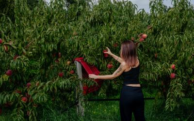 Foto Francesca/Montalto_Metroborgo delle Marche 2025 HI-297.jpg