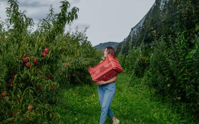 Foto Francesca/Montalto_Metroborgo delle Marche 2025 HI-308.jpg