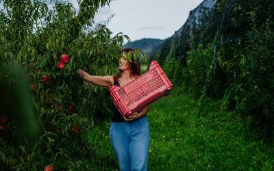 Foto Francesca/Montalto_Metroborgo delle Marche 2025 HI-309.jpg