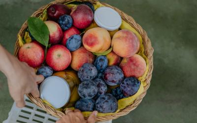 Foto Francesca/Montalto_Metroborgo delle Marche 2025 HI-320.jpg