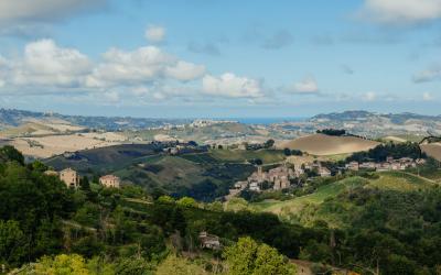 Foto Francesca/Montalto_Metroborgo delle Marche 2025 HI-371.jpg