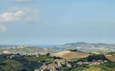 Foto Francesca/Montalto_Metroborgo delle Marche 2025 HI-372.jpg