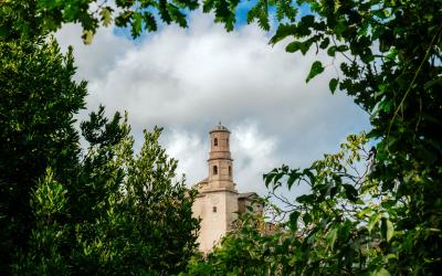 Foto Francesca/Montalto_Metroborgo delle Marche 2025 HI-374.jpg