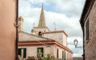 Foto Francesca/Montalto_Metroborgo delle Marche 2025 HI-375.jpg