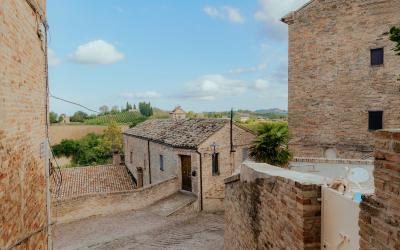 Foto Francesca/Montalto_Metroborgo delle Marche 2025 HI-378.jpg