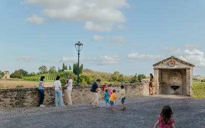 Foto Francesca/Montalto_Metroborgo delle Marche 2025 HI-389.jpg