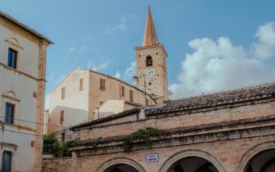 Foto Francesca/Montalto_Metroborgo delle Marche 2025 HI-427.jpg