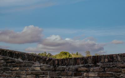 Foto Francesca/Montalto_Metroborgo delle Marche 2025 HI-430.jpg