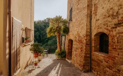 Foto Francesca/Montalto_Metroborgo delle Marche 2025 HI-431.jpg