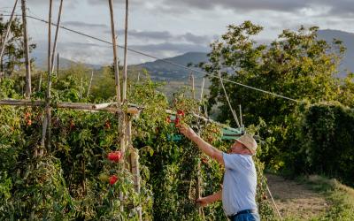 Foto Francesca/Montalto_Metroborgo delle Marche 2025 HI-432.jpg