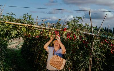 Foto Francesca/Montalto_Metroborgo delle Marche 2025 HI-433.jpg