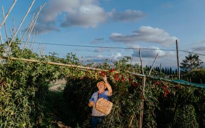 Foto Francesca/Montalto_Metroborgo delle Marche 2025 HI-435.jpg