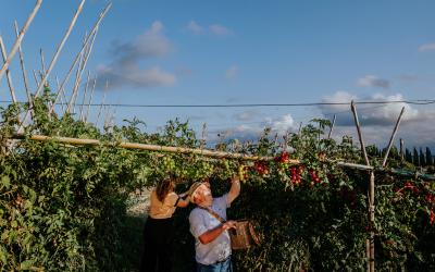 Foto Francesca/Montalto_Metroborgo delle Marche 2025 HI-439.jpg