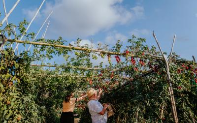 Foto Francesca/Montalto_Metroborgo delle Marche 2025 HI-440.jpg