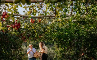 Foto Francesca/Montalto_Metroborgo delle Marche 2025 HI-444.jpg