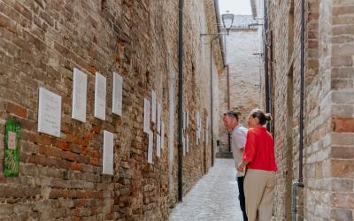 Foto Francesca/Montalto_Metroborgo delle Marche 2025 HI-46.jpg