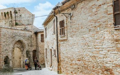 Foto Francesca/Montalto_Metroborgo delle Marche 2025 HI-73.jpg